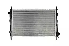 Радиатор, охлаждение двигателя BSG купить